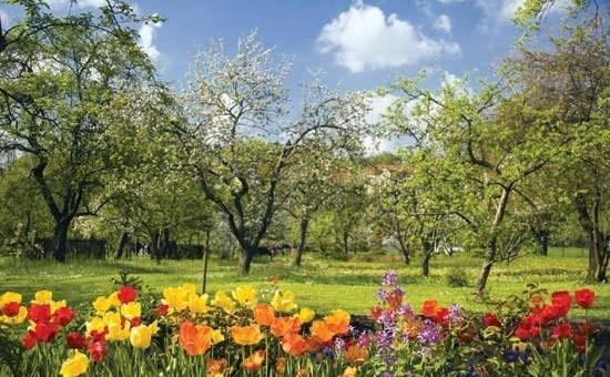 فصلنامه بهار 1404 گیلان