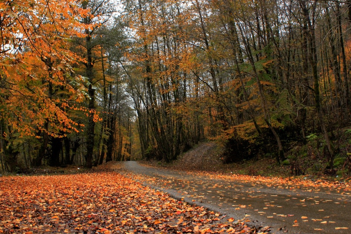 ماهنامه آذر 1404 گیلان