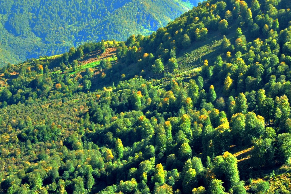 ماهنامه آبان 1404 گیلان